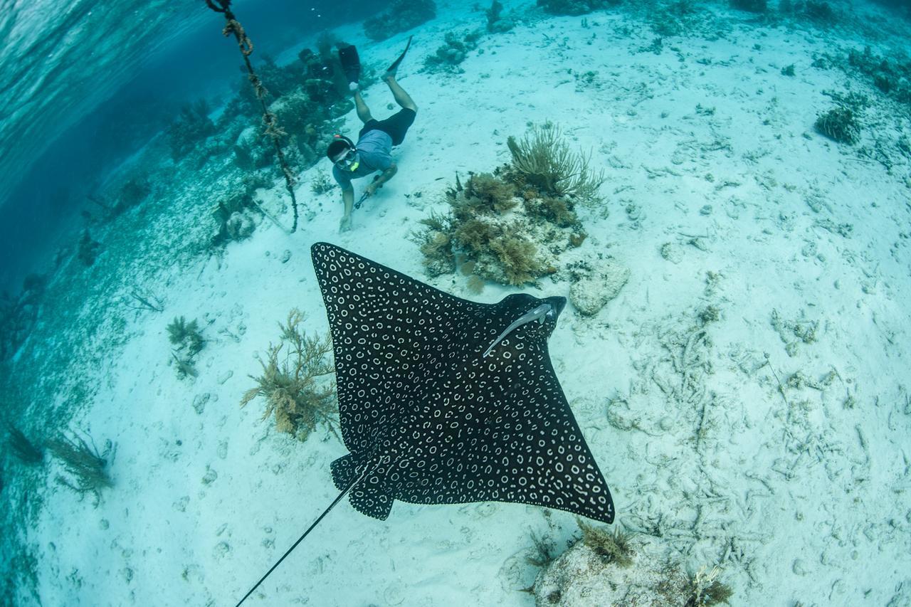 Turneffe Island Resort Turneffe Atoll Екстериор снимка